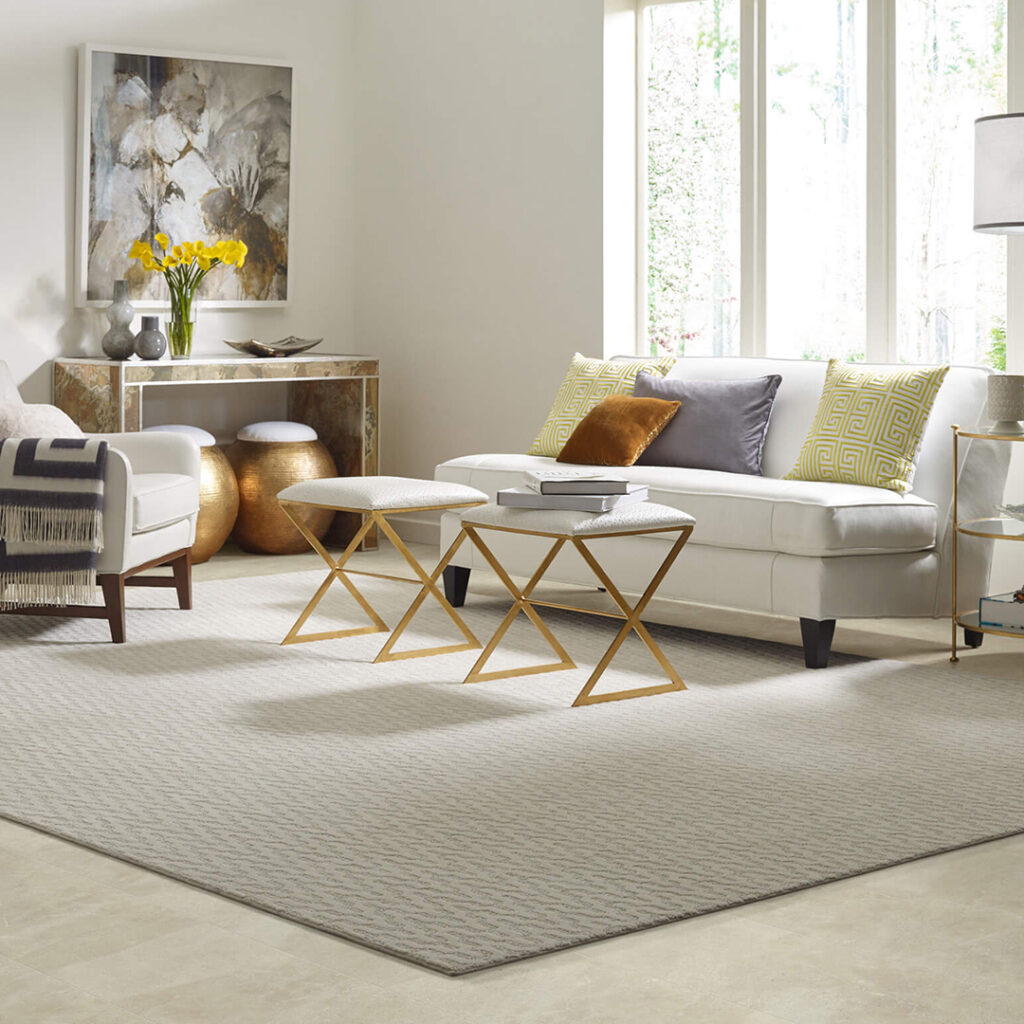 Area Rug | Chillicothe Carpet