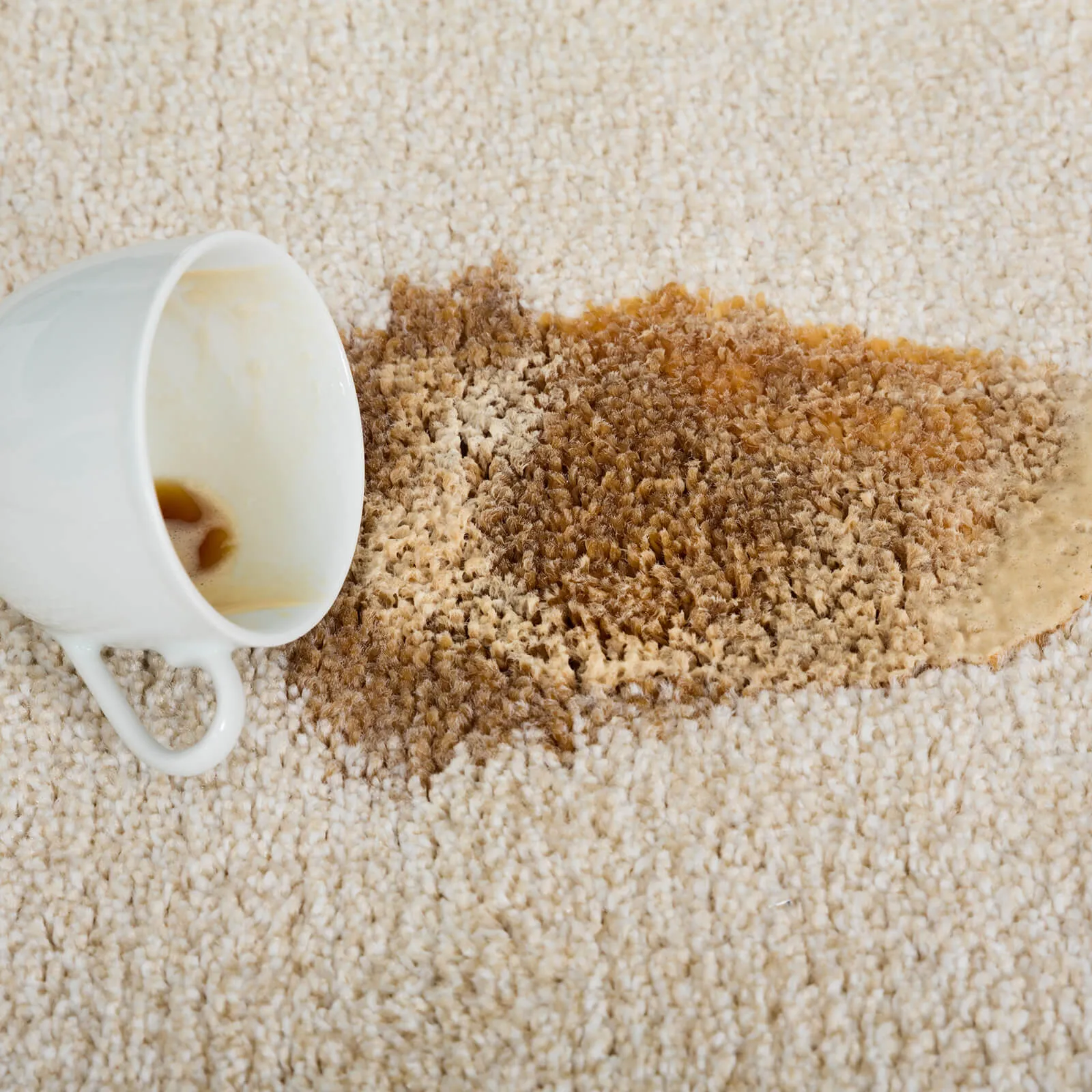 Carpet care | Chillicothe Carpet